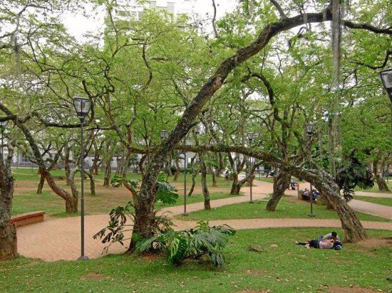 Saint Pio Park